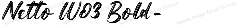 Netto W03 Bold字体转换
